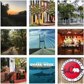 Follow Charleston.com on Instagram